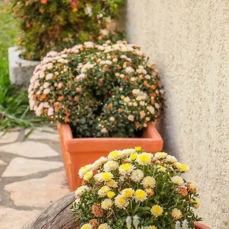 莱夫克斯公寓 公寓