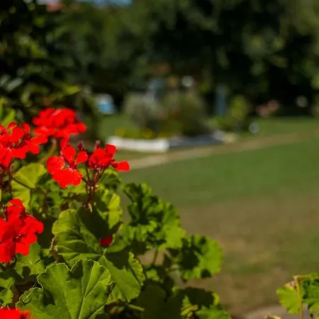 莱夫克斯公寓 公寓