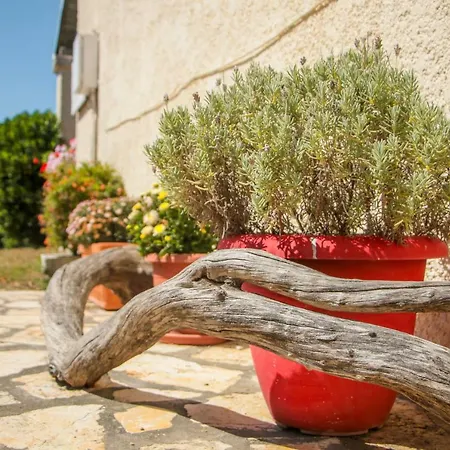 莱夫克斯公寓 *