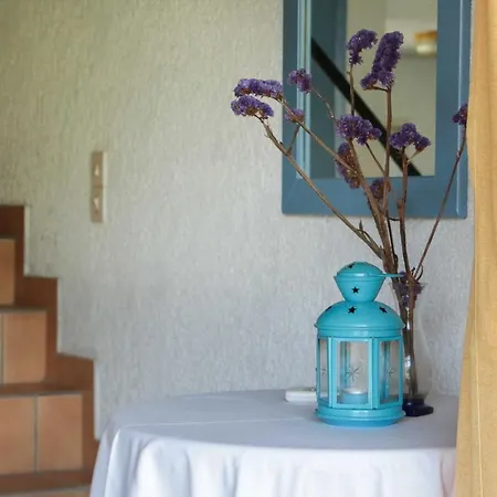 莱夫克斯公寓 公寓 *